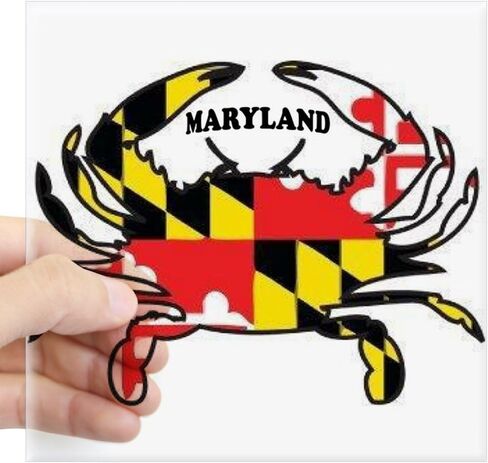 ملصق CafePress Maryland Crab ملصق مربع ممتص للصدمات ملصق سيارة in Saudi Arabia