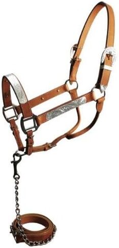 Leather Show Halter w/Silver Accents & Matching Lead in Saudi Arabia