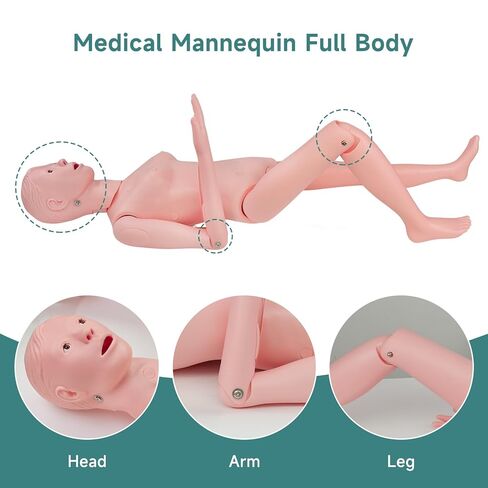 Medical Training Manikin, Full Body Patient Care and Nursing Skills Practice Mannequin Model, Multifunctional Male-Female Nurse Training Dummy for Medical Education in Saudi Arabia