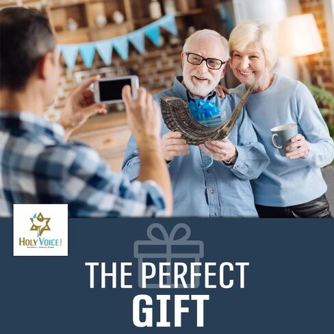 الصوت المقدس كوشير رام شوفار القرن من إسرائيل 18 "-20" التقليدية نصف مصقول، الأرض المقدسة سهلة تهب آلة موسيقية يهودية قديمة، لسان الحال على نحو سلس لسهولة النفخ، صوت واضح in Kuwait