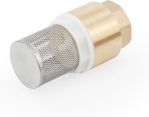 Female Brass Bottom Check Valve DN32/DN40/DN50 Non-Return with Steel Strainer Filter for Water Plumbing Pump(2") in Kuwait