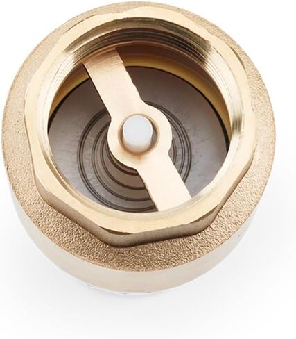 Female Brass Bottom Check Valve DN32/DN40/DN50 Non-Return with Steel Strainer Filter for Water Plumbing Pump(2") in Kuwait
