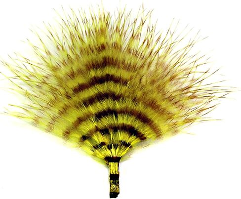 MFC Mini Barred Marabou in Kuwait