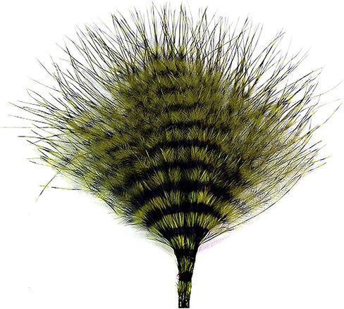 MFC Mini Barred Marabou in Kuwait