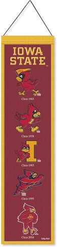 WinCraft Iowa State University Cyclones Evolution 8x32 Inch Vertical Wool Embroidered Hanging Banner in Saudi Arabia
