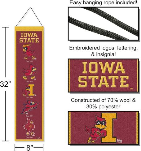 WinCraft Iowa State University Cyclones Evolution 8x32 Inch Vertical Wool Embroidered Hanging Banner in Saudi Arabia