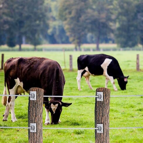 Trellis Anchors, 10Pcs Aluminum Trellis Tighteners One Way Anchor Vises Grape Trelli Coated Wire Tightening Vice for 8-11 Gauge to Build Trellising Vineyards Fence Tensioning Arbor with Screws in Kuwait