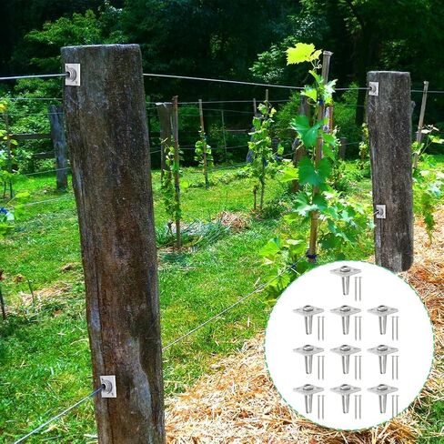 Trellis Anchors, 10Pcs Aluminum Trellis Tighteners One Way Anchor Vises Grape Trelli Coated Wire Tightening Vice for 8-11 Gauge to Build Trellising Vineyards Fence Tensioning Arbor with Screws in Kuwait