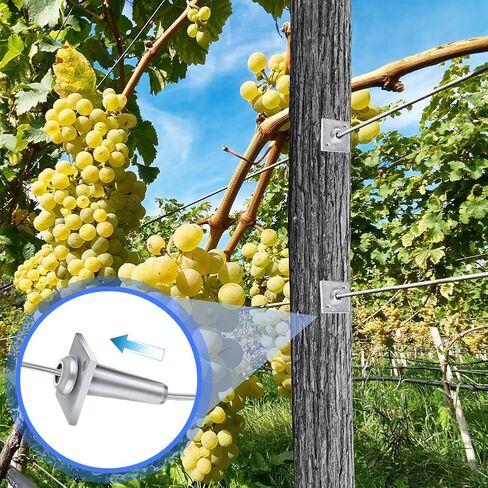 Trellis Anchors, 10Pcs Aluminum Trellis Tighteners One Way Anchor Vises Grape Trelli Coated Wire Tightening Vice for 8-11 Gauge to Build Trellising Vineyards Fence Tensioning Arbor with Screws in Kuwait