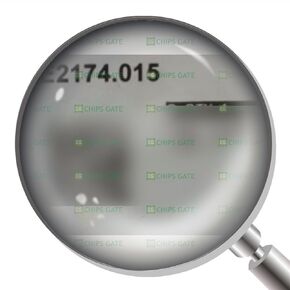 1 قطعة جديد QAE2174.015 in Kuwait