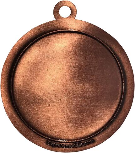 10 Pack of Scholastic Apple Bronze 2.25 Inch Medals Trophy Awards with Red White Blue Neck Ribbons D212B-FCL403-10PK in Saudi Arabia