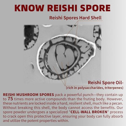 Organic Reishi Mushroom Capsules with 100% Ganoderma Lucidum Reishi Spore Powder for Boost Immune System, Vegan, All Natural, Non-GMO & Gluten Free, 90 Veggie Capsules in Saudi Arabia