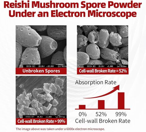 Organic Reishi Mushroom Capsules with 100% Ganoderma Lucidum Reishi Spore Powder for Boost Immune System, Vegan, All Natural, Non-GMO & Gluten Free, 90 Veggie Capsules in Saudi Arabia