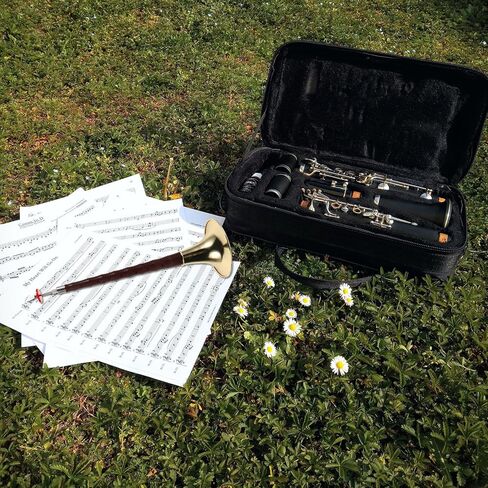 Suona Horn Abs الراتنج أداة الرياح الصينية التقليدية النحاسية الخشبية Suona للمبتدئين مع قوة عالية للتآكل ومقاومة التشقق، لون ذهبي مناسب للثقافة in Kuwait