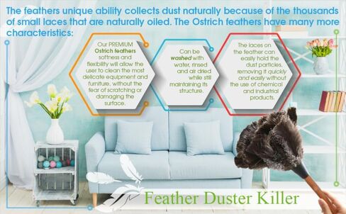 Ostrich Feather Duster with Extension Pole Up to 42" in Kuwait