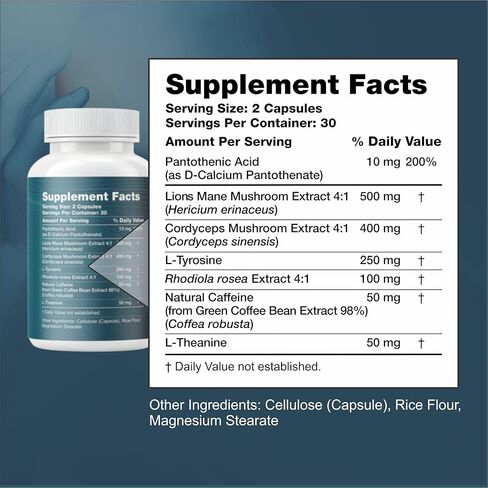 Nootropic Brain Supplement with Lion’s Mane Mushroom, Cordyceps & Rhodiola Rosea Extract - Focus and Energy Supplement, Adaptogen for Brain Health, Mental Clarity, Memory & Mood Support - 60 Capsules in Saudi Arabia