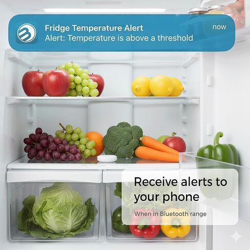 Temperature and Humidity Monitor - 3-in-1 Wireless Indoor/Outdoor Hygrometer with Dew Point, Bluetooth Enabled Data Logging, High-Precision Sensor - Outdoor/Indoor Humidity Meter in Saudi Arabia