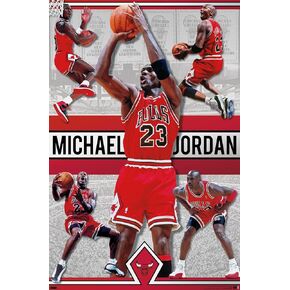 Trends International Michael Jordan - Collage Wall Poster, 14.725" x 22.375", Barnwood Framed Version