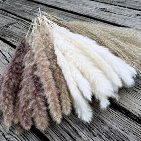 𝓝𝓪𝓽𝓾𝓻𝓪𝓵 𝓓𝓻𝓲𝓮𝓭 𝓟𝓪𝓶𝓹𝓪𝓼 𝓖𝓻𝓪𝓼𝓼 - Total 60 pcs, 17.5", Boho Flower Decor, 15pcs White Pampas Grass, 15pcs Natural Color Pampas Grass & 30pcs Reed Grass. Home Table Decor