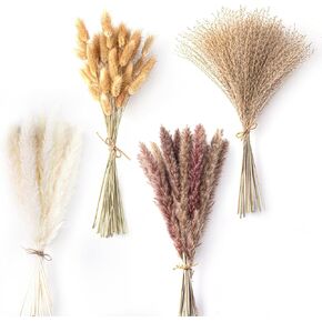 ديكور عشب بامباس المجفف 105 قطعة من زهور Ammi visnaga المجففة المضغوطة معشبة لراتنج الإيبوكسي in Kuwait