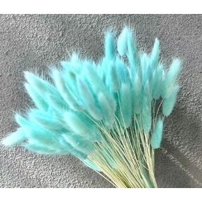 Azure Blue 180pcs Bunny Tails Dried Flowers, 17 inches, Natural Rabbit Tail Grass Boho Lagurus Ovatus Eternal Florals for Wedding, Home Centerpieces Decoration, Flower Arrangements, Photo Props