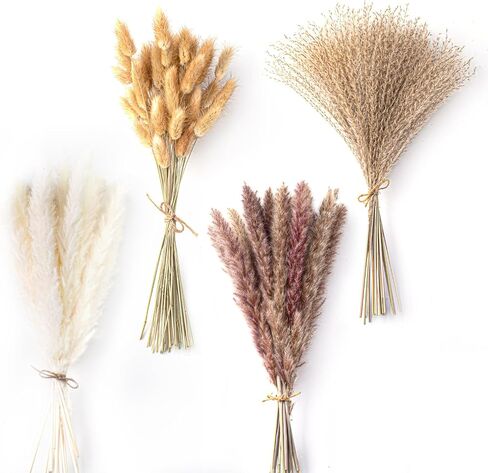ديكور عشب بامباس المجفف 105 قطعة من زهور Ammi visnaga المجففة المضغوطة معشبة لراتنج الإيبوكسي in Kuwait