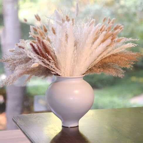 (169 PCS) Home Decor Dried Flowers Arrangements White & Natural Pampas Grass Reed Bunny Tails for Boho Home Wedding Decoration Flower Arrangements Photo Props in Saudi Arabia