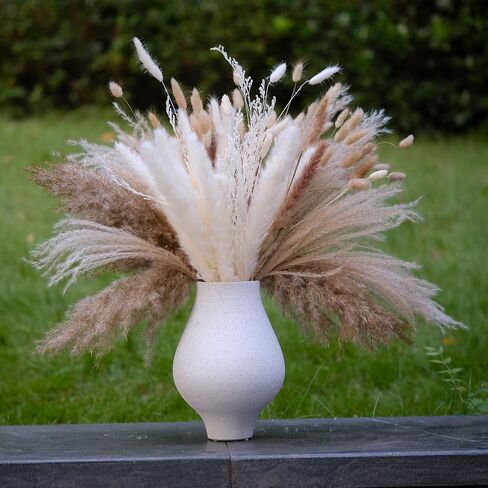 (169 PCS) Home Decor Dried Flowers Arrangements White & Natural Pampas Grass Reed Bunny Tails for Boho Home Wedding Decoration Flower Arrangements Photo Props in Saudi Arabia
