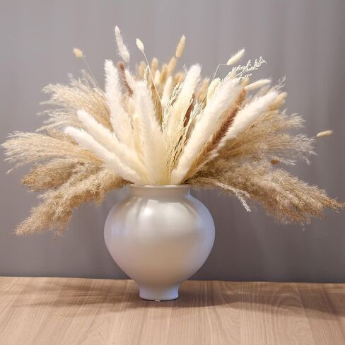 (169 PCS) Home Decor Dried Flowers Arrangements White & Natural Pampas Grass Reed Bunny Tails for Boho Home Wedding Decoration Flower Arrangements Photo Props in Saudi Arabia