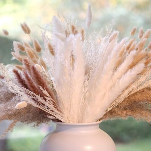 (169 PCS) Home Decor Dried Flowers Arrangements White & Natural Pampas Grass Reed Bunny Tails for Boho Home Wedding Decoration Flower Arrangements Photo Props in Saudi Arabia
