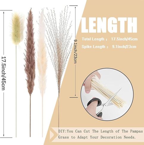 (169 PCS) Home Decor Dried Flowers Arrangements White & Natural Pampas Grass Reed Bunny Tails for Boho Home Wedding Decoration Flower Arrangements Photo Props in Saudi Arabia