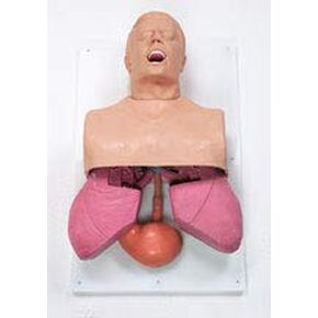 SIMULAIDS Adult Airway Management Trainer in Kuwait