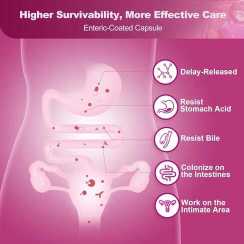 NATURE TARGET البروبيوتيك للنساء لصحة المسالك البولية مع D مانوز والتوت البري - 60 مليار CFUs البروبيوتيك المهبلي لصحة الجهاز الهضمي، التهاب المسالك البولية وتوازن درجة الحموضة مع البريبايوتكس - 90 كبسولة in Kuwait