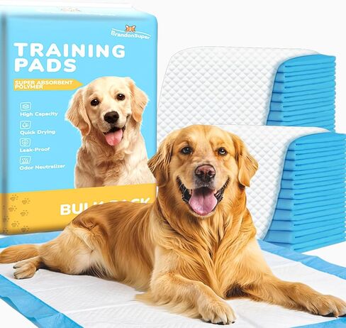 Dog Puppy Pee Pads with Leak-Proof Quick-Dry Design for Potty Training,24 x 24 Inches, 100 Count, Blue & White in Saudi Arabia