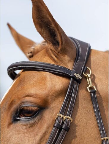 LeMieux Kudos Work Bridle in Saudi Arabia