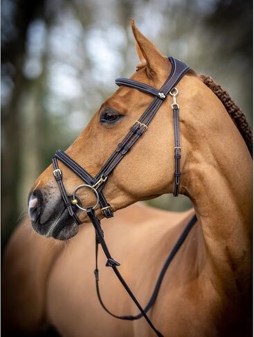 LeMieux Kudos Work Bridle in Saudi Arabia