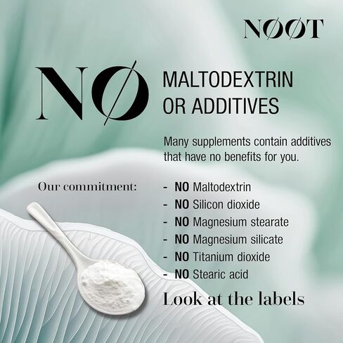 NOOT Mushroom Complex, Organic Lions Mane Mushroom Supplement - Nootropic Adaptogenic Vegan Brain Supplements for Memory and Focus, Biohacking, Immunity and Resilience, 60 Capsules in Kuwait