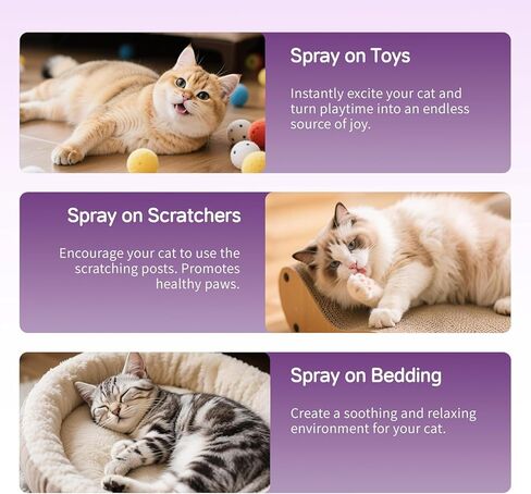 رذاذ النعناع البري للقطط، رذاذ رذاذ النعناع البري الطبيعي 100% للقطط والقطط الصغيرة، يخفف التوتر، ويهدئ، وآمن للحيوانات الأليفة - 2 أونصة سائلة in Kuwait