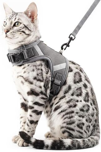 حزام ومقود للقطط، حزام للقطط مضاد للهروب، مقود للقطط للمشي أثناء السفر، سترة للقطط، رمادي، كبير in Kuwait