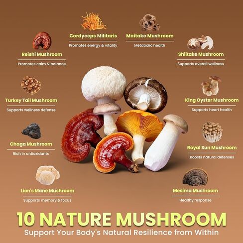 B BEWORTHS الفطر الكاكاو الساخن، 10 - مزيج مستخلص الفطر مع صيغة دعم النوم، أشواغاندا، L-الثيانين، بلسم الليمون، غابا، الميلاتونين، دعم الخريف والبقاء نائما، 30 حصة in Kuwait