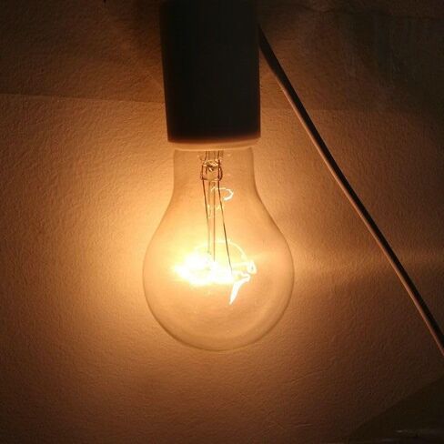 100 Watt Incandescent Light Bulbs, A19 100 WATT Incandescent Bulb Shatter Resistant Rough Service Light Bulb 100 WATTS A19 Shape, E26 Standard Base 2 Pack in Saudi Arabia