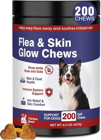 الوقاية من البراغيث والقراد للكلاب، أوميغا قابلة للمضغ، جلد ومعطف يمضغ للكلاب، مكملات غذائية، 200 لينة لجميع السلالات، نكهة الدجاج in Kuwait