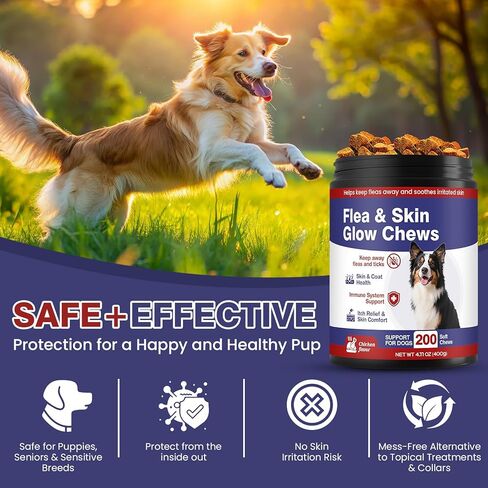 الوقاية من البراغيث والقراد للكلاب، أوميغا قابلة للمضغ، جلد ومعطف يمضغ للكلاب، مكملات غذائية، 200 لينة لجميع السلالات، نكهة الدجاج in Kuwait