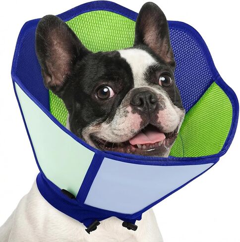 AOFITEE Dog Cone - Soft Cones for Dogs After Surgery, Comfy Cones for Large Dogs to Stop Licking, Adjustable Soft Dog Cone Collar, Elizabethan Pet E-Collar for Wound Healing, OrangeBlue Large in Saudi Arabia