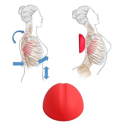 LittleMum Thoracic Flex Stretcher, Pectoral Stretch Device, Self-Care Tool for Costochondritis and TOS Pain, Help Fix Hunchback and Round Shoulder, Tight Pectoral Muscles Release in Saudi Arabia