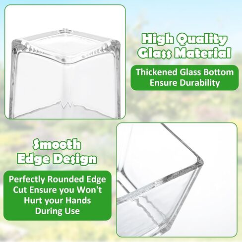 Square Glass Vases, Clear Square Vases for Centerpiece, Cube Flower Vases for Candle Holder Events Wedding Party Home Decoration (4 x 4 inch, 6pcs) in Saudi Arabia