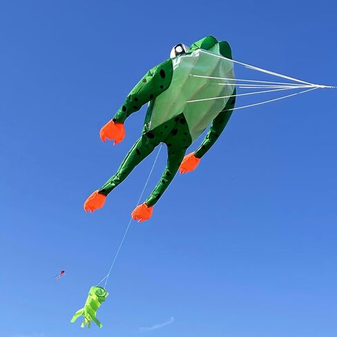 HENGDA KITE 3D Frog Kite for Kids and Adults,Easy to Fly,Excellent Fabric and Structure Design,Huge Frameless Soft Parafoil Giant Kites in Saudi Arabia