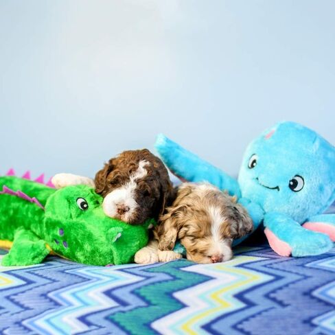 ZippyPaws - Grunterz Grunting Plush Large Dog Toy - Oscar the Octopus in Saudi Arabia