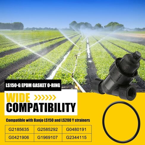 حشية LS150-G EPDM على شكل حرف O لمصفاة Y 1-1/2" و2" - متوافقة مع Banjo LS150/LS200 والموديلات G2185635、G2585292、G0480191、G0421906、G1969107、G2344115 (3 عبوات) in Kuwait
