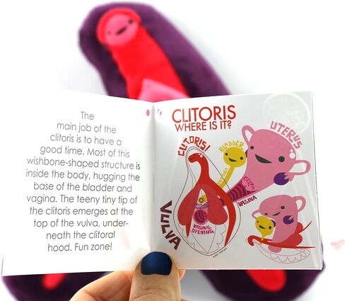 I Heart Guts 3D Clitoris 3D Model Plushie - Funny Health Class Anatomy Pillow Gynecology Pelvic Floor Educational Anatomical Toy in Saudi Arabia